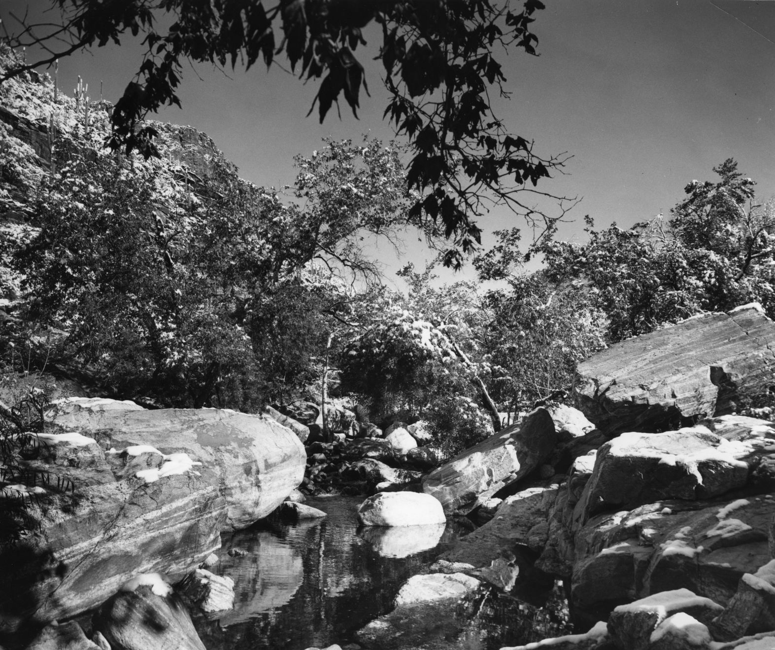 Sabino Canyon Recreation Area, Tucson